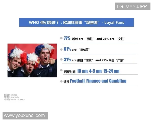 欧洲杯赛事市场营销与商业价值研究 欧洲杯赛事市场营销与商业价值研究