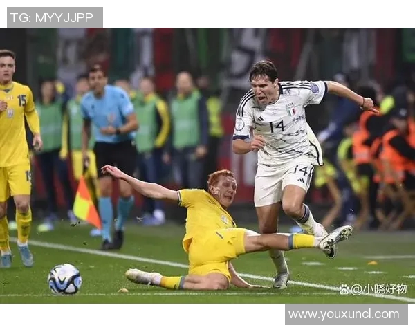 欧洲杯赛事球迷互动及文化传承研究